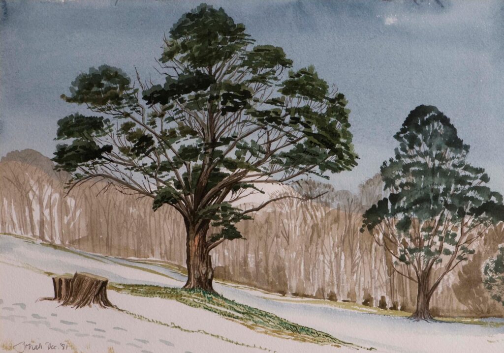 'Snowy Scene Near Castell Deudraeth' watercolour by Jonah Jones