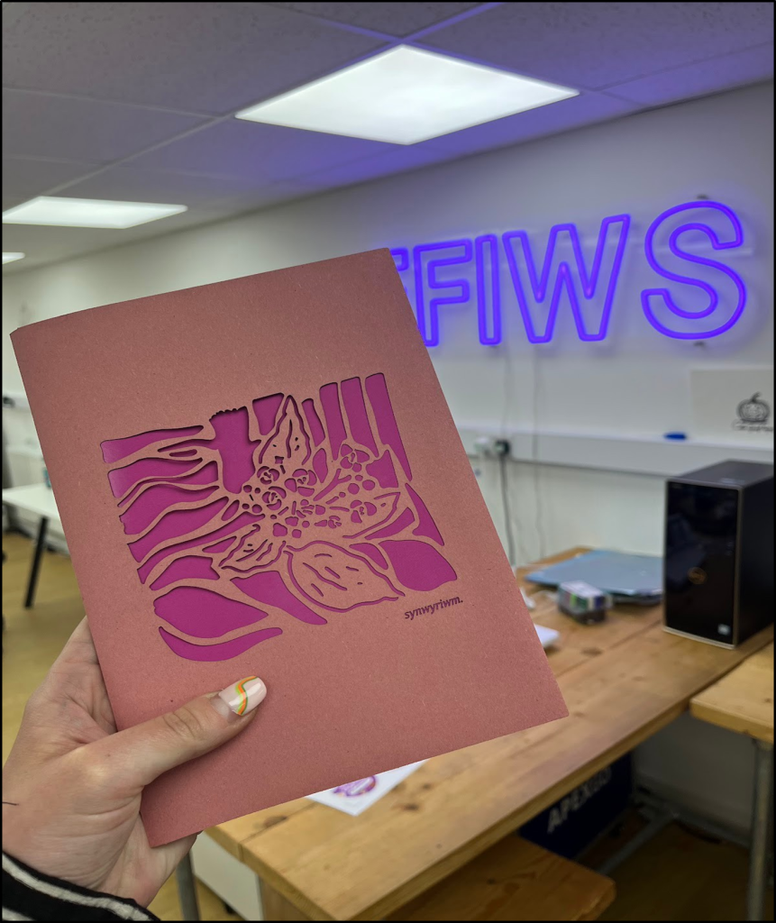 Ffion Pritchard cyanotype process: 1