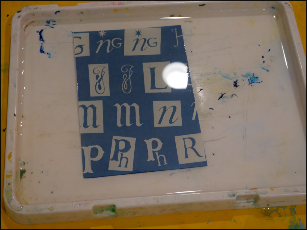 Ffion Pritchard cyanotype process: 8